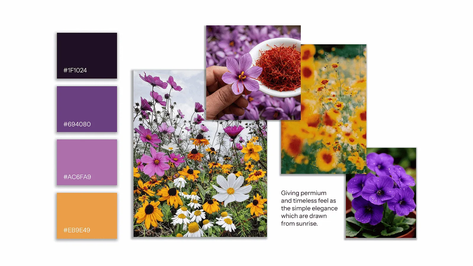 Colour swatches with hex codes beside wildflower and saffron photographs