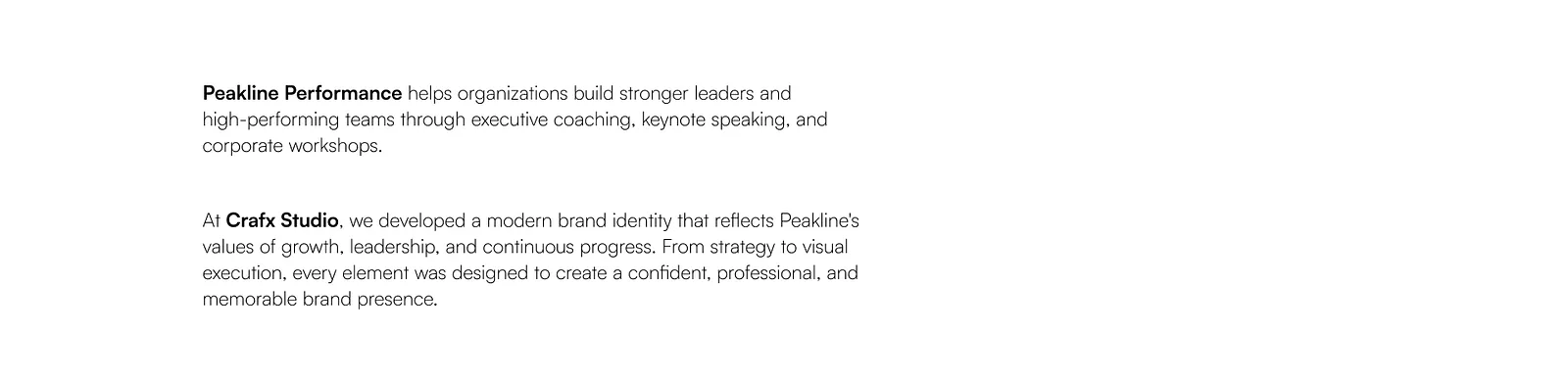 Project statement about building the Peakline Performance brand identity