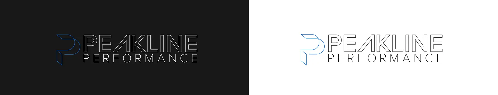 Logo lockup shown reversed on black and in pale blue
