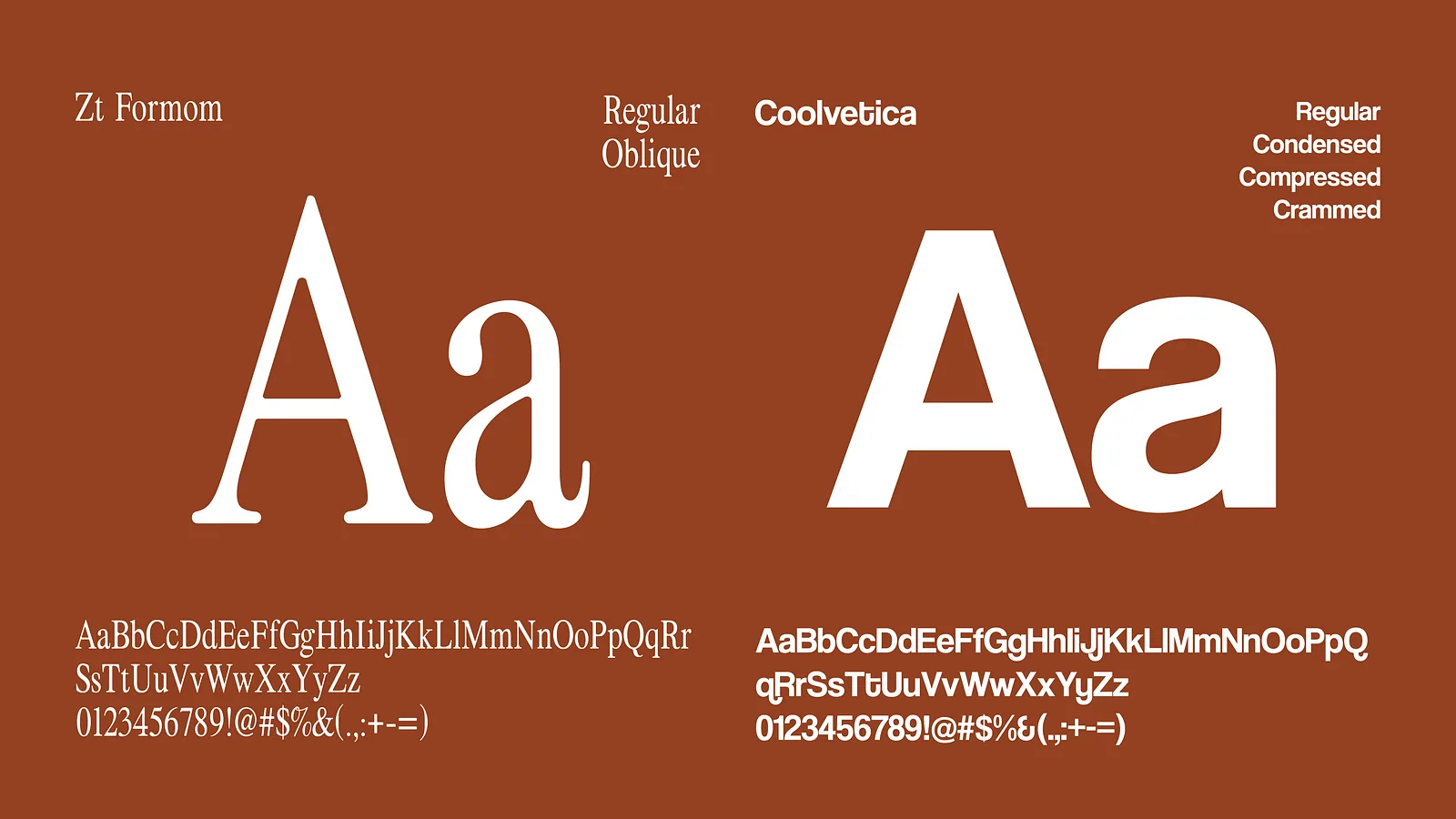 Typography specimen pairing a serif with a sans for the identity
